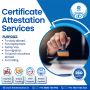An Essential Guide to Qatar Attestation