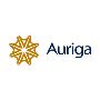 Auriga Consultants: Premier Management Consulting in Dubai