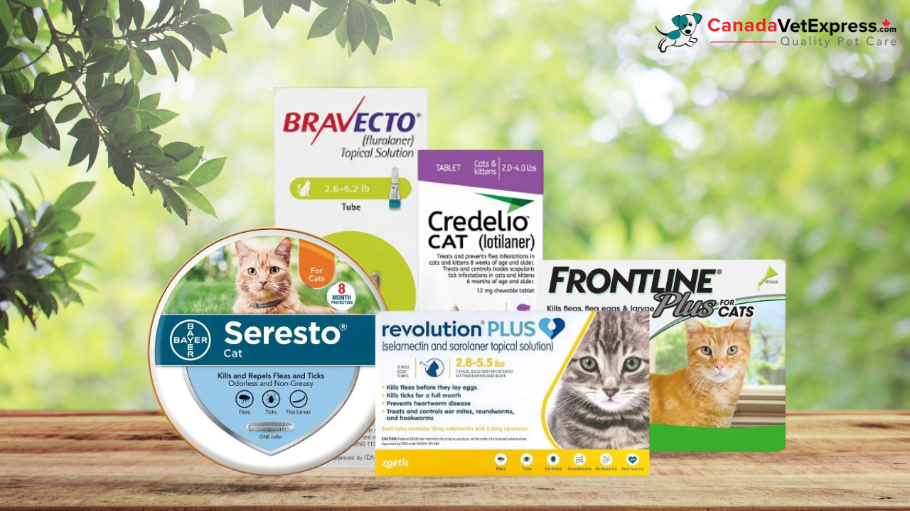 Get 30% Off Pet Supplies with Free Shipping