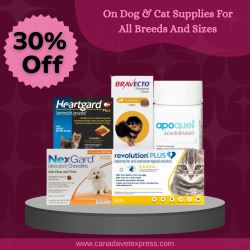 Get 30% Off Pet Supplies with Free Shipping
