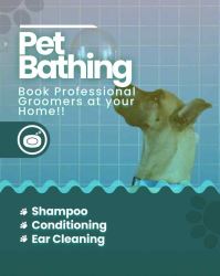 Dog grooming Chennai