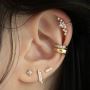 Guide to Ear Piercing: Types, Ideas, and Care Tips for a Cla
