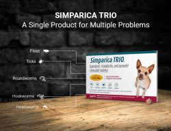 Simparica Trio for Dogs: 3-in-1 Advanced Treatment