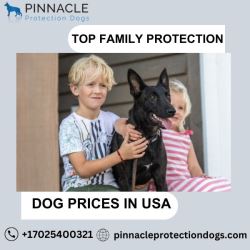 Top Family Protection Dog Prices in USA | Pinnacle Protectio