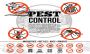Best Pest Control Services in Delhi NCR - Safaiwale