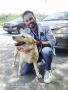 Pet Relocation Services in Mumbai