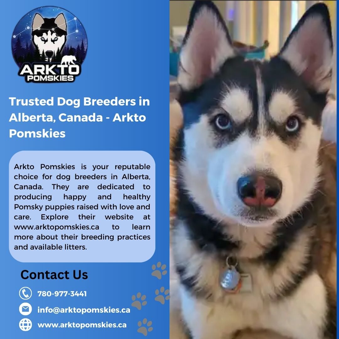 Trusted Dog Breeders in Alberta, Canada - Arkto Pomskies