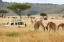 Do you Want An Advantage of Kenya Safari Tours with Ashford 