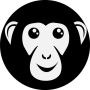 Best SEO marketing services - Bonoboz.in