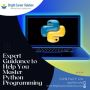 Expert Guidance to Help You Master Python Programming
