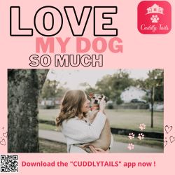 Best Dog Boarding, Walking and Sitting in Fort Lauderdale, F