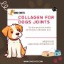 Dog's Joint Health with Collagen Supplements from Dog Chits