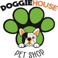 Maltipoo Puppies for Sale in Dallas
