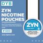 Zyn nicotine pouches - DYB
