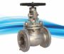 Find the best globe valve manufacturer in Ahmedabad