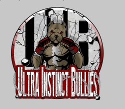  Ultra Instinct Bullies