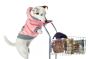 Buy Pet Products Online California