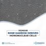 High-Quality Human Bone Marrow Mononuclear Cells for Your Re