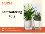 Self Watering Pots by KrupexIndia: Ultimate Solution for Eff