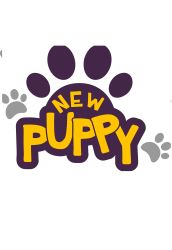 Auckland Dog Trainer | Puppy Training | Puppy Potty Training