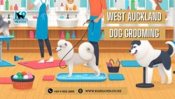 West Auckland Dog Grooming