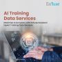 Maximize AI Accuracy with Expert Training Data Services!