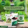 Go Green with the Leading Organic Fertilizer Manufacturer in