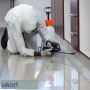 Get Rid of Pests with the Pest Control Services in Badlapur