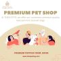 Mini Dachshund Puppies for Sale in Singapore - Adorable Mini