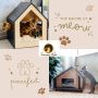 Premium Wooden Cat Houses in India at Tommy Casa | Comfort &