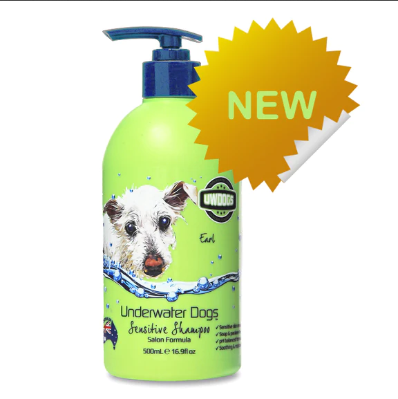Order the best natural shampoo for dogs with itchy skin