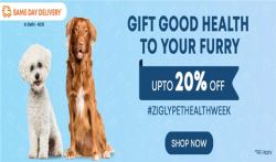 Zigly Pet Health Week 