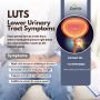 Lower Urinary Tract Symptoms Insights from Ayurveda