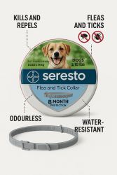 Buy Seresto Flea & Tick Collar for Dogs – Long-Lasting Prote