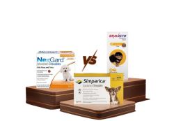 Buy Bravecto for Dogs Online 