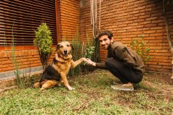 Premium Dog Kennel Services in Miami – Safe, Loving & Afford