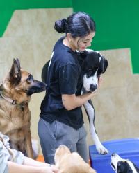 Dog Boarding Near Me – Safe & Loving Care!