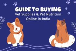 Honest Guide to Buying Vet Supplies & Pet Nutrition Online