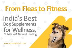Top Pet Wellness Supplements in India: From Flea Control to 