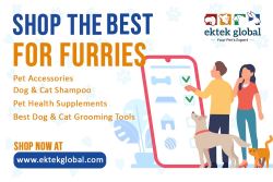 Best Pet Supplies Online in India: Accessories, Dog Shampoo,