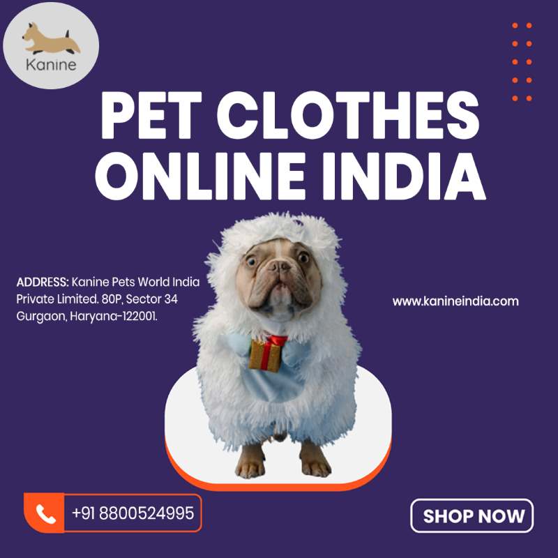 Pet Clothes Online India