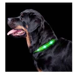 Waterproof LED Dog Collar – Walk Safer at Night