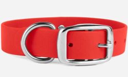 Find the Best Biothane Dog Collars for Comfort and Durabilit