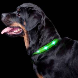 Waterproof, Bright LED Dog Collar for Safety