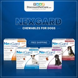 Nexgard for Dogs - Trusted Flea and Tick Solution | Discount