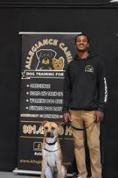 Puppy Training Memphis TN