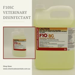 Effective Pet Friendly Disinfectant Solutions for Every Need