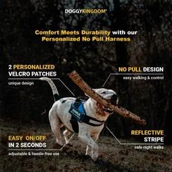 The Best Online Dog Apparel Store for Fashion-Forward Pups