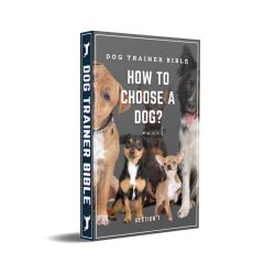 Transform Your Dog’s Life and Strengthen Your Bond!!