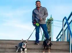 Affordable & Best Dog Walking Services in Your Area